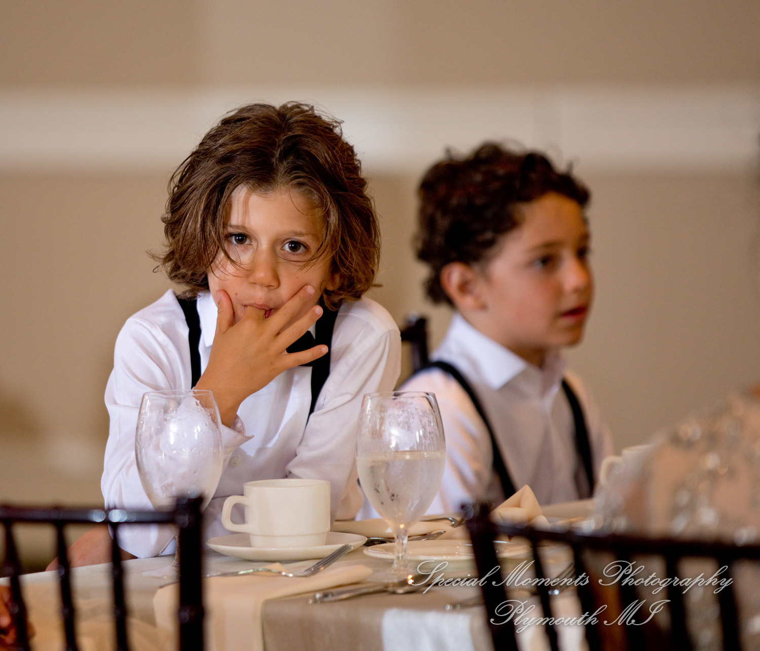 Erika & Mark at St. Nicholas Greek Orthodox Troy wedding photography