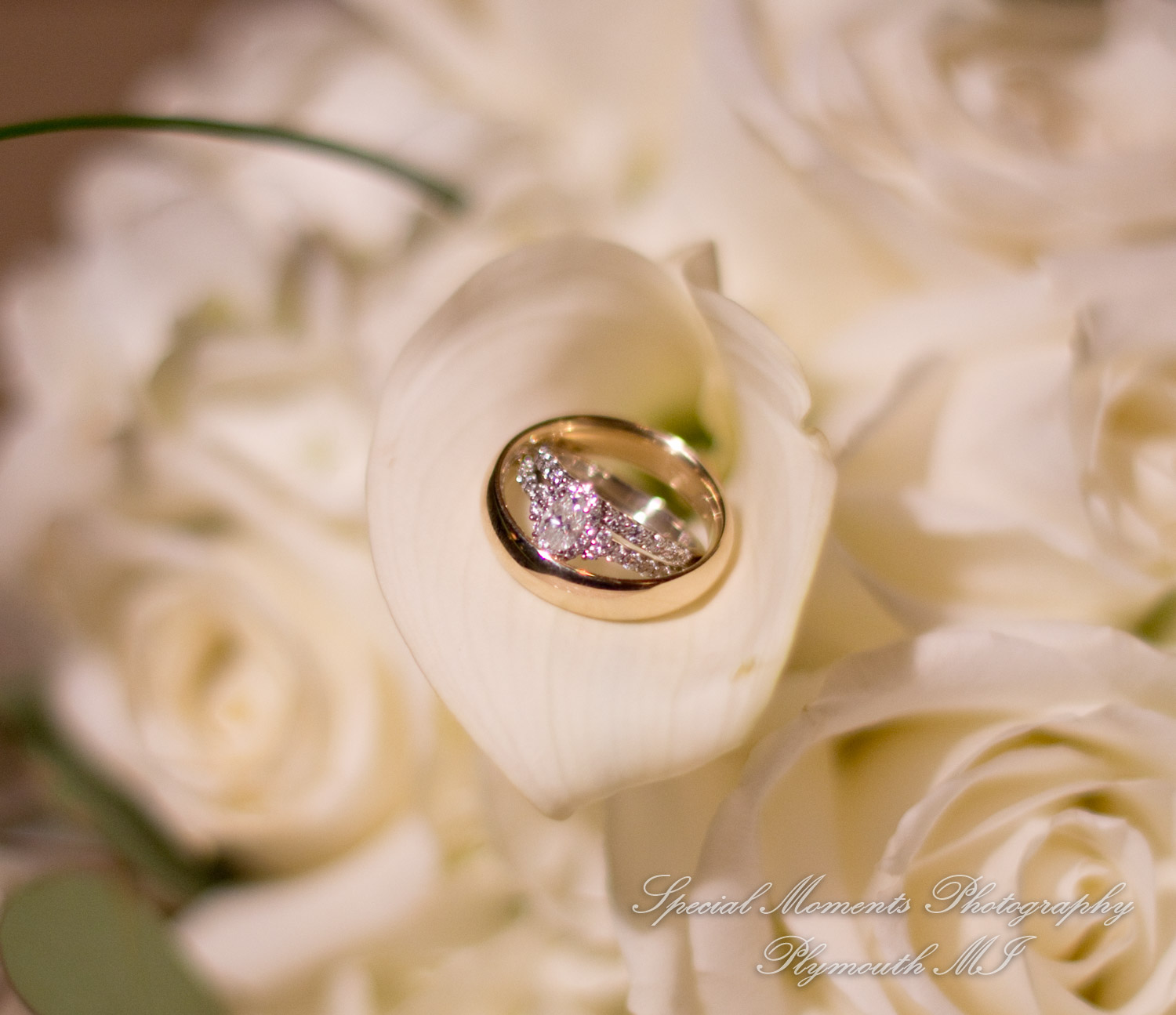 Erika & Mark at St. Nicholas Greek Orthodox Troy wedding photography