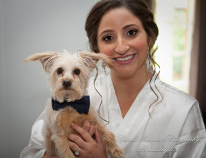 Stefanie & David at St. John Greek Orthodox Sterling Hts. MI wedding photography