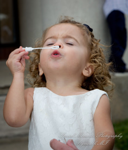 Stefanie & David at St. John Greek Orthodox Sterling Hts. MI wedding photography