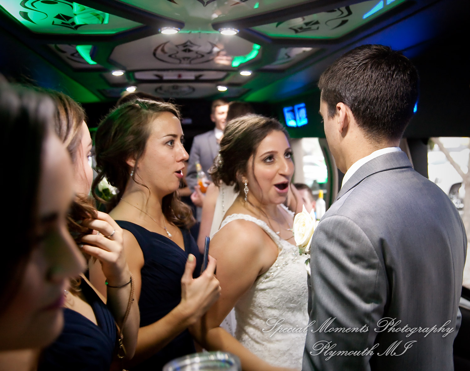 Stefanie & David at Larsa Palace Banquet Facility Warren MI wedding photography