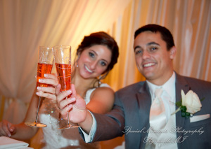 Stefanie & David at Larsa Palace Banquet Facility Warren MI wedding photography