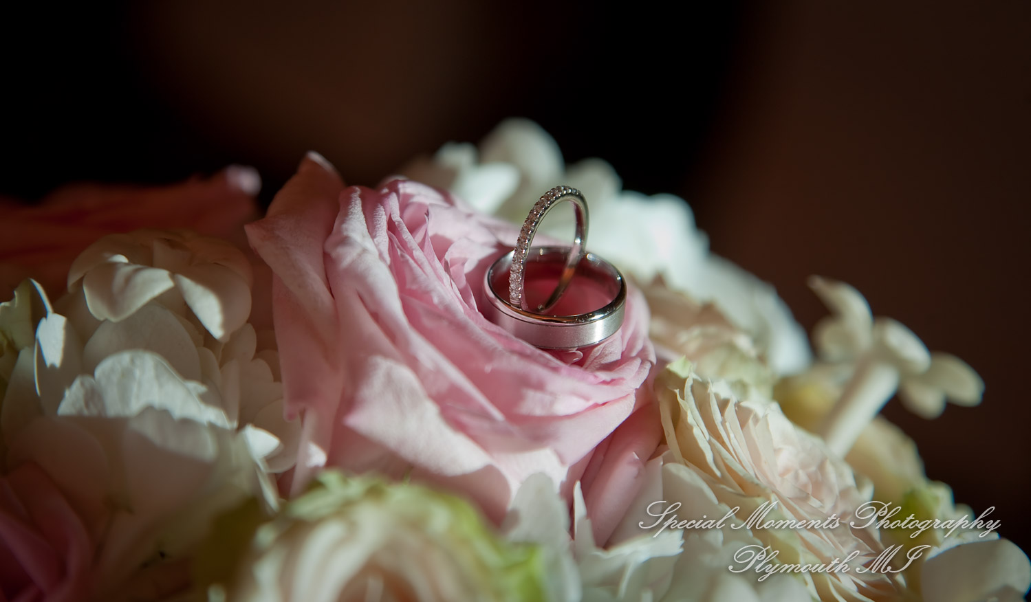 Stefanie & David at Larsa Palace Banquet Facility Warren MI wedding photography