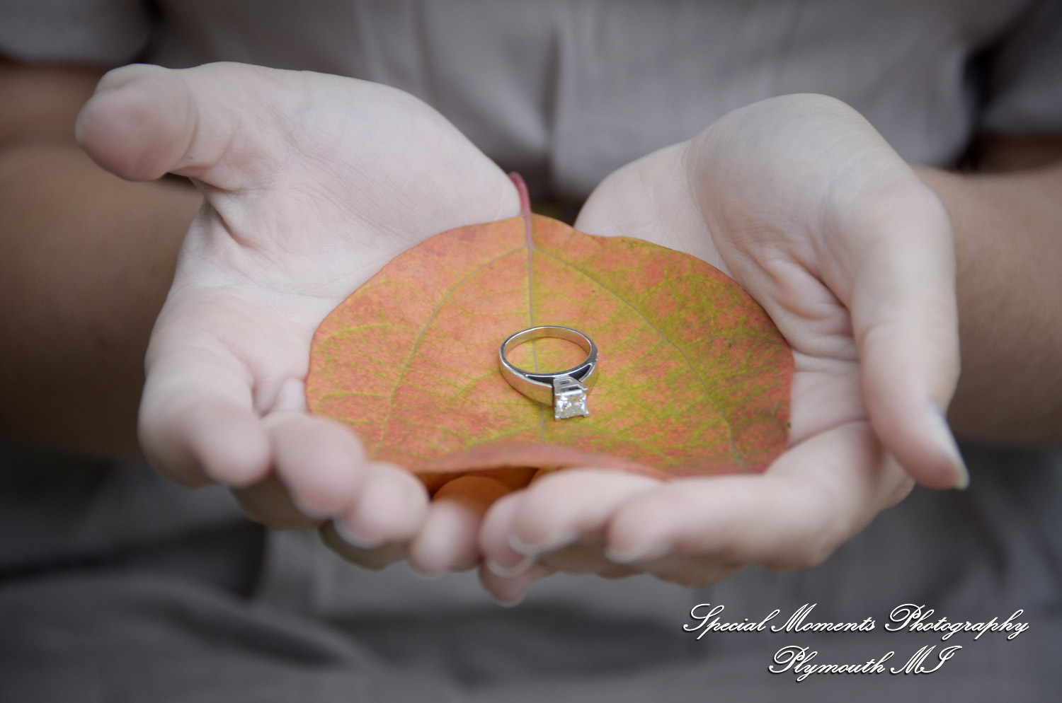 Andy & Jamie at MSU Campus East Lansing MI engagement photograph