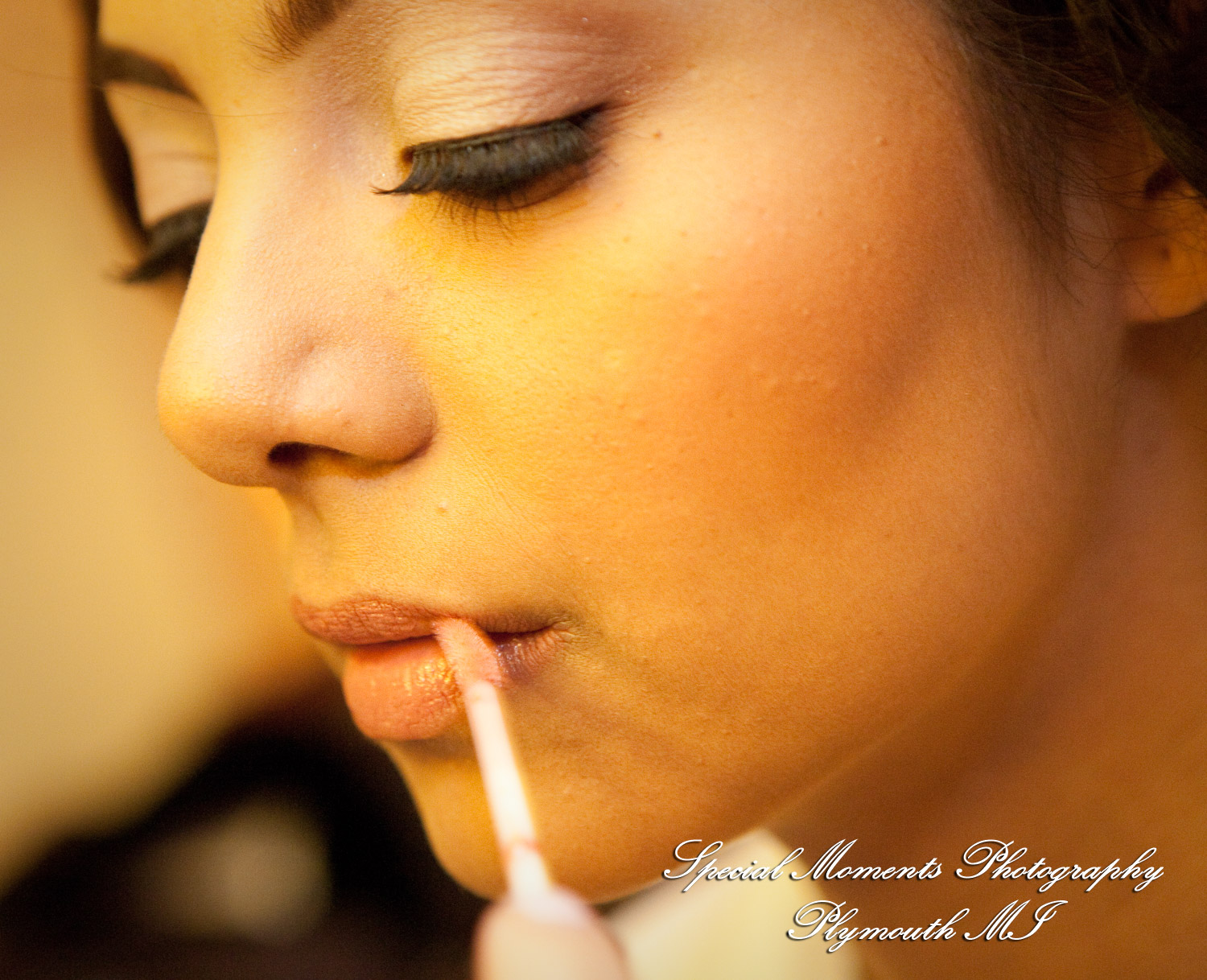 Sharmila & Sameer at The Westin Southfield Detroit MI wedding photograph