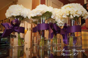 Sharmila & Sameer at The Westin Southfield Detroit MI wedding photograph