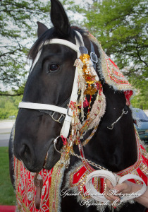 Sharmila & Sameer at The Westin Southfield Detroit MI wedding photograph