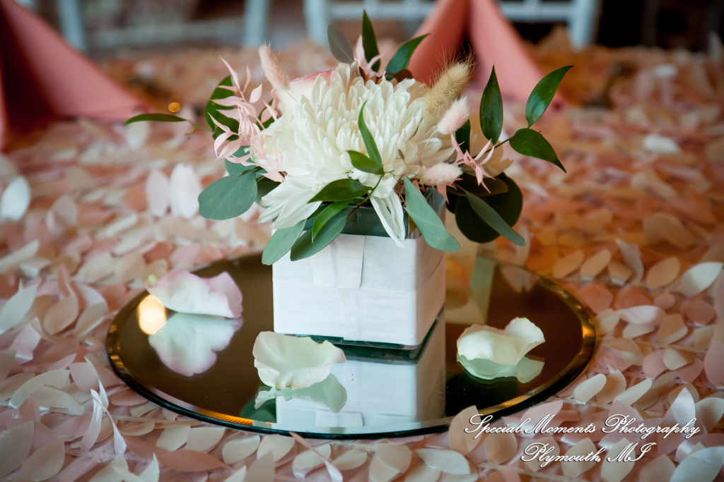 Red Olive Banquet Center Plymouth MI wedding & Baptism photograph