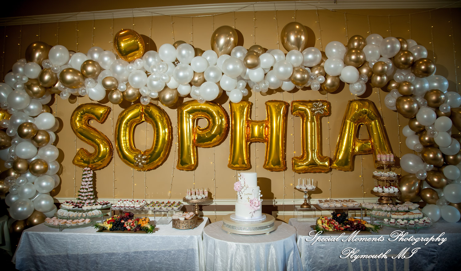 Red Olive Banquet Center Plymouth MI wedding & Baptism photograph