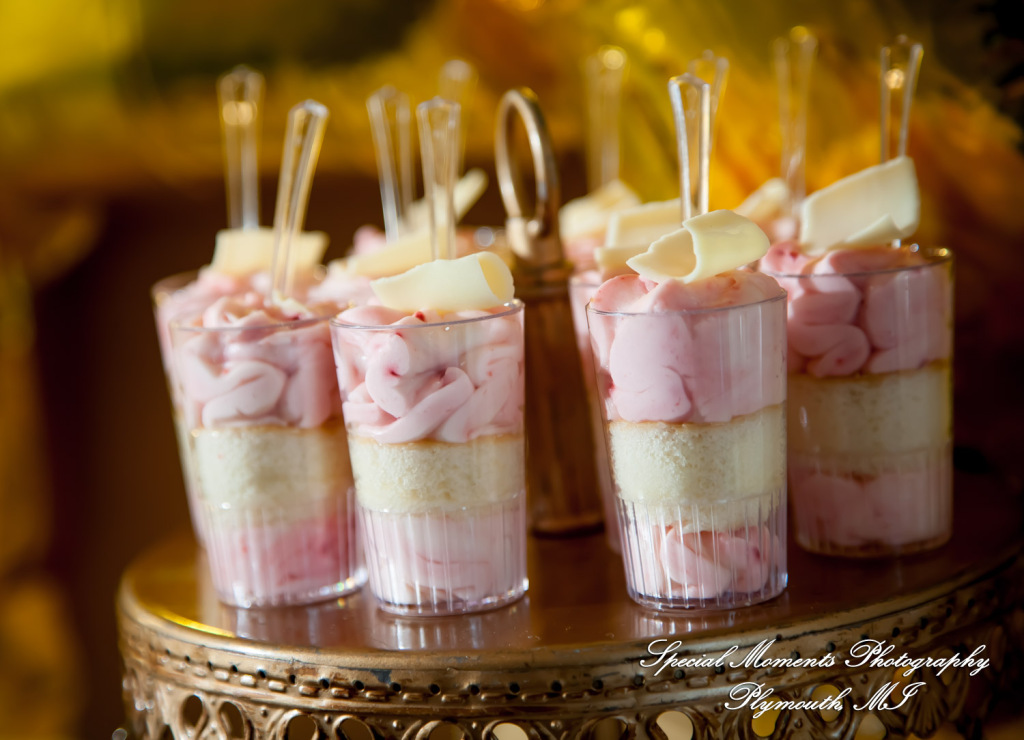 Red Olive Banquet Center Plymouth MI wedding & Baptism photograph