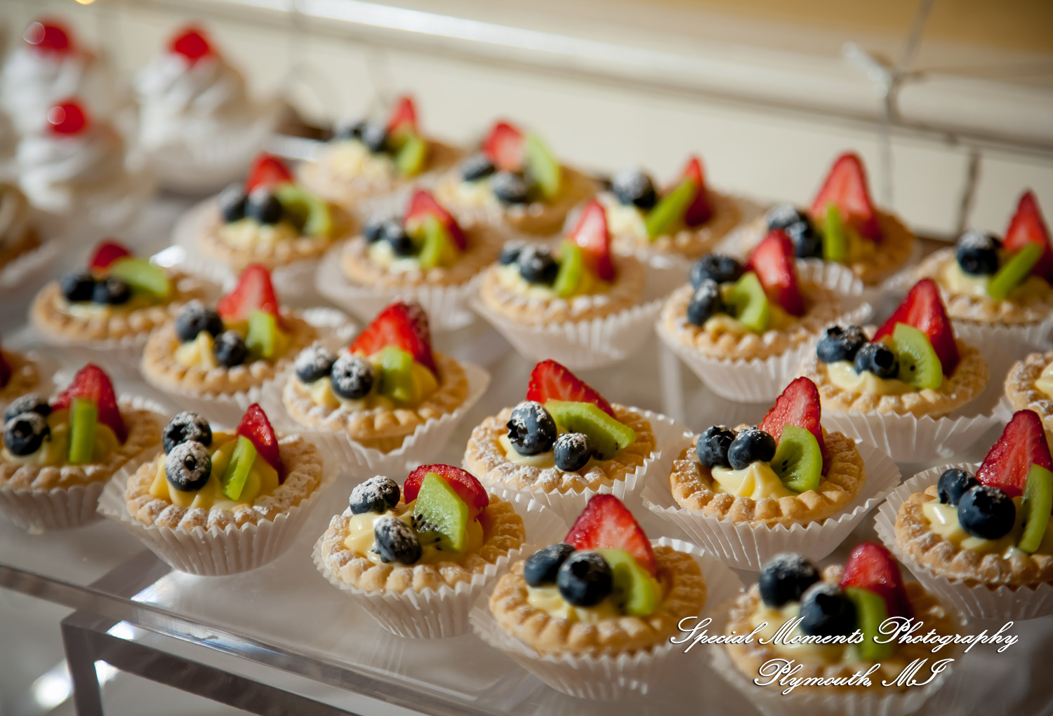 Red Olive Banquet Center Plymouth MI wedding & Baptism photograph