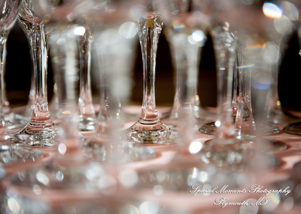 Red Olive Banquet Center Plymouth MI wedding & Baptism photograph