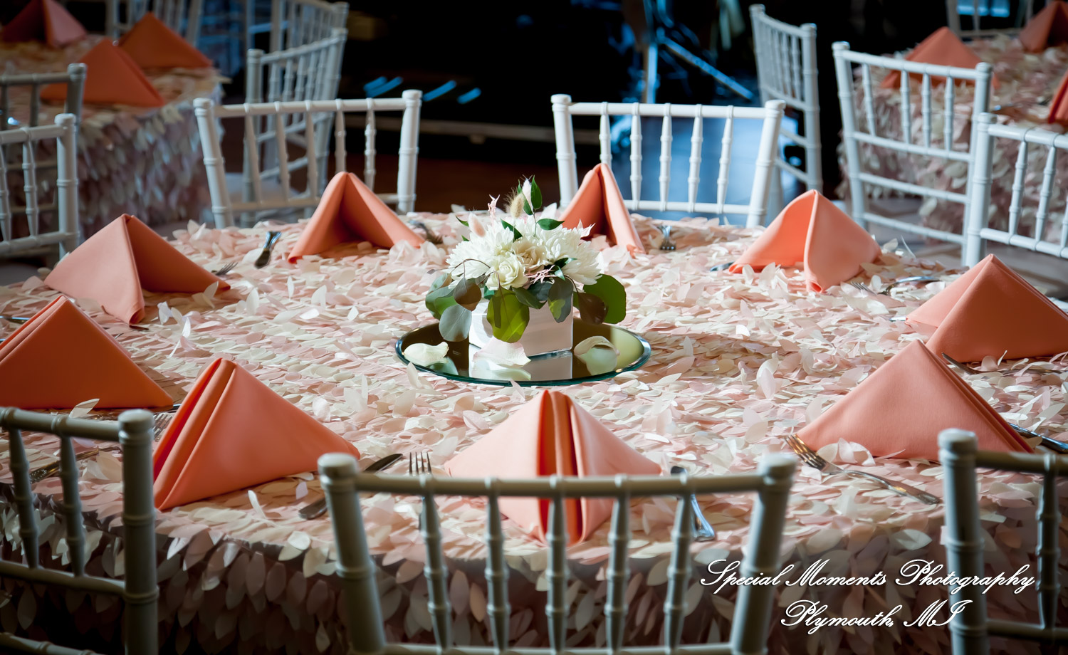 Red Olive Banquet Center Plymouth MI wedding & Baptism photograph