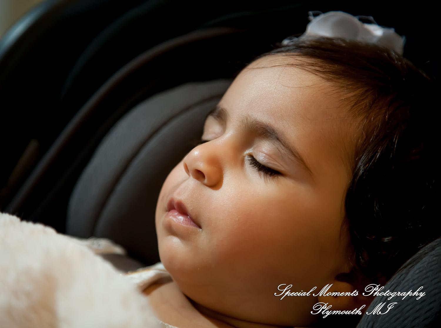 Red Olive Banquet Center Plymouth MI wedding & Baptism photograph