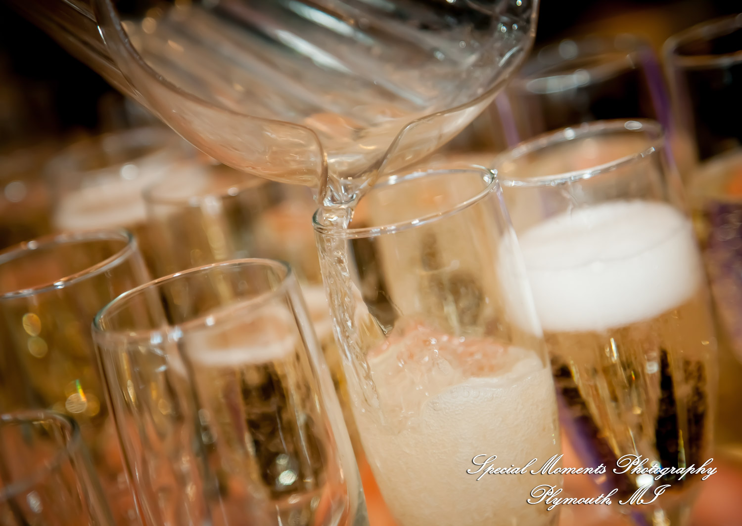 Red Olive Banquet Center Plymouth MI wedding & Baptism photograph