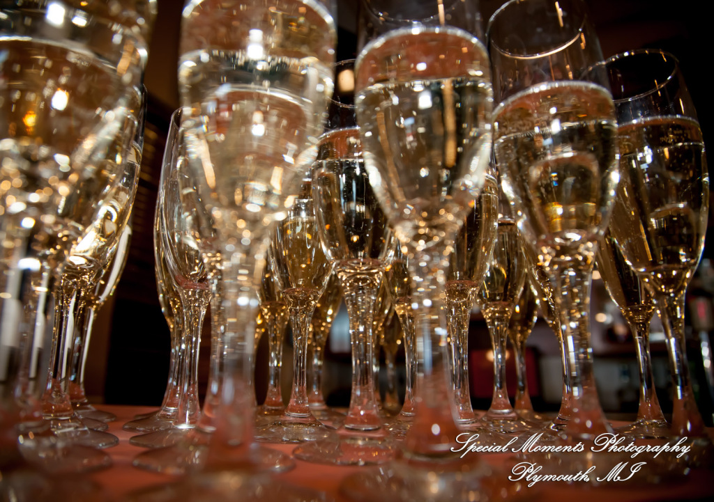 Red Olive Banquet Center Plymouth MI wedding & Baptism photograph