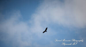 Sara & Andrew at Wilcox Lake Park Plymouth MI engagement photography